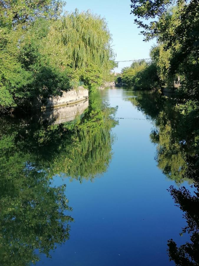 Gite Les Demoiselles Des Sorgues LʼIsle-sur-la-Sorgue Exteriér fotografie