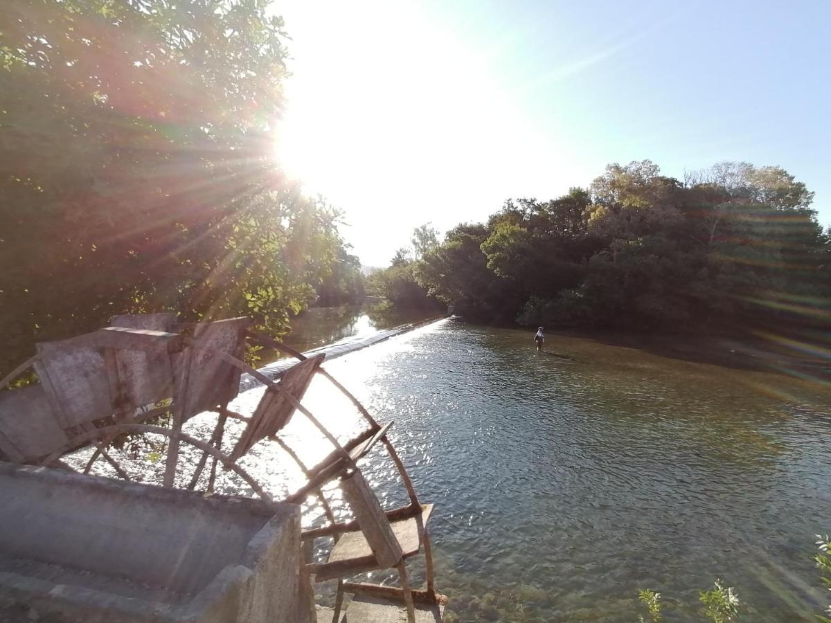 Gite Les Demoiselles Des Sorgues LʼIsle-sur-la-Sorgue Exteriér fotografie