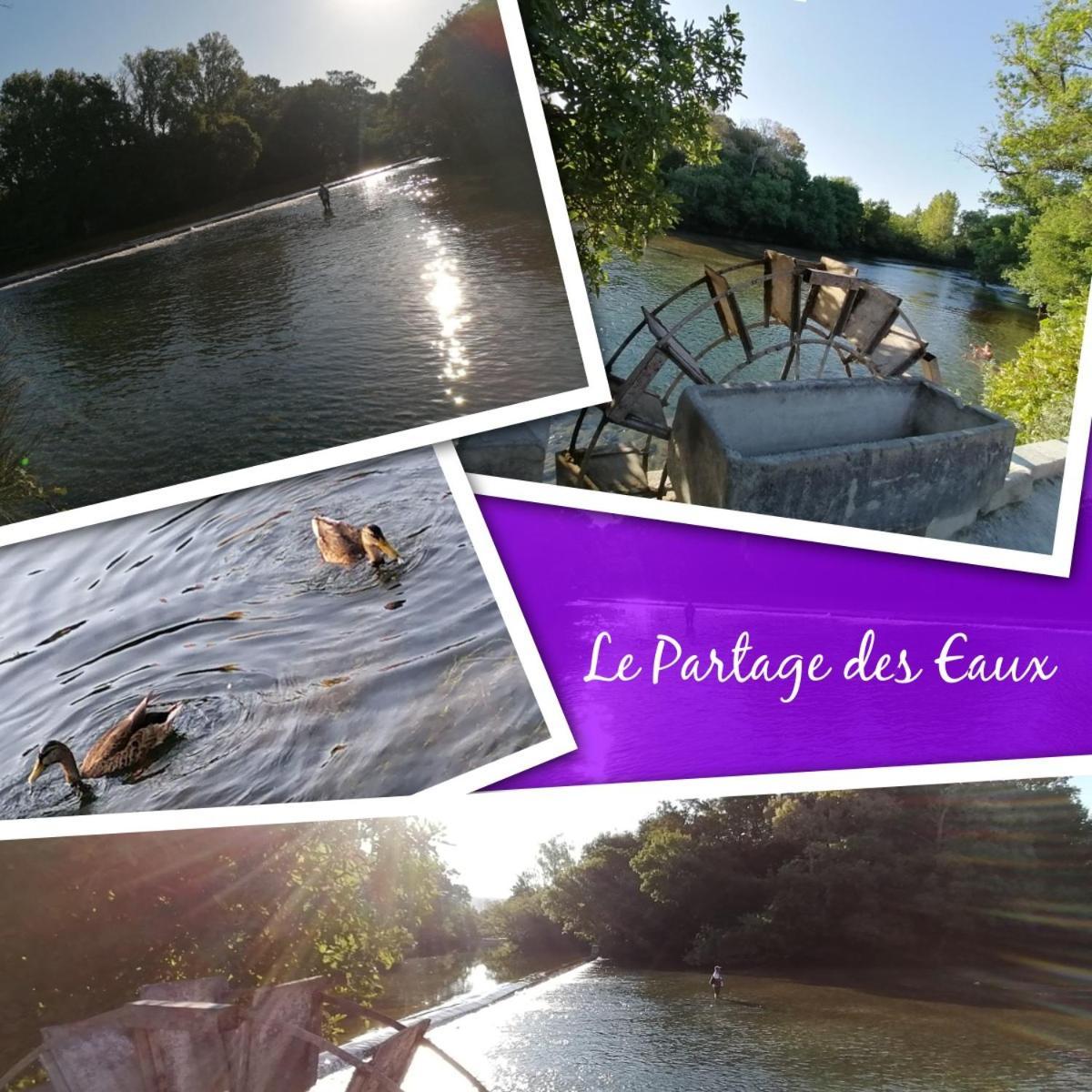 Gite Les Demoiselles Des Sorgues LʼIsle-sur-la-Sorgue Exteriér fotografie